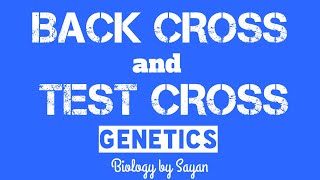 Back Cross and Test Cross  Genetics  Biology by Sayan [upl. by Ameyn335]