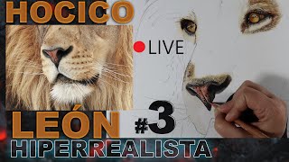 HOCICO de un LEÓN HIPERREALISTA con lápices de colores❓ MASTER CLASS PROYECTO LEÓN 3 [upl. by Asseram870]