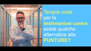 Esiste il glucantime orale o un’alternativa orale per la terapia della Leishmaniosi canina [upl. by Holly-Anne]