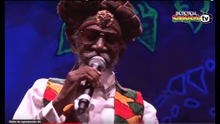 BUNNY WAILER amp The Solomonic Orchestra live  Main Stage 2015 [upl. by Anaeda393]