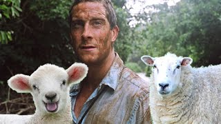 Bear Grylls Sheep Hunter [upl. by Romeu]