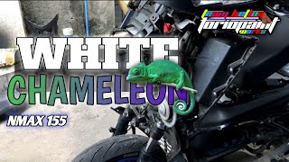 WHITE CHAMELEON  NMAX V1  Torio Paint Works [upl. by Atled]