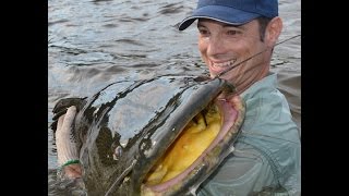 PESCA DE PACU E JAÚ RIO SÃO BENEDITO PARTE 1 [upl. by Enelyam88]