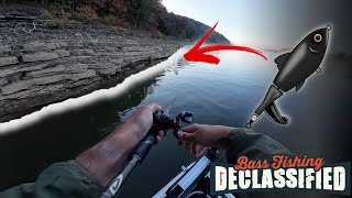 Don’t Miss This EASY Fall Topwater Pattern [upl. by Rasec]