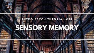 Sensory Memory Intro Psych Tutorial 71 [upl. by Augusto]