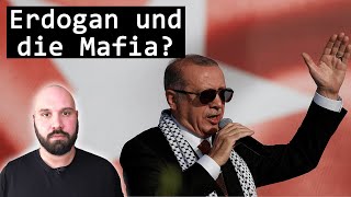 Wie ein MafiaBoss Erdogans Regierung unter Druck setzt [upl. by Reneta243]