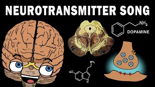 THE NEUROTRANSMITTER SONG [upl. by Airamesor148]