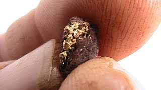 Metal Detecting for Gold Nuggets in WA 2014 pt 6 [upl. by Panayiotis762]