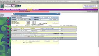 WinCapWeb Timesheet Entry [upl. by Ragse]