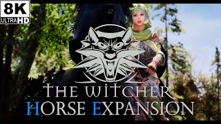 SKYRIM MOD I Witcher Horse Expansion [upl. by Garett49]