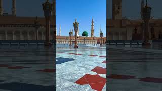 Shahe Madina music shots islamicvideo ytshorts youtubeshorts viralshorts shotsfeed shortvide [upl. by Neeoma]