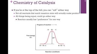 036Chemistry of Catalysis [upl. by Urbani]