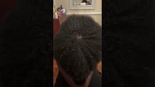 Fuller Hair with One Simple Step  Natural Hair Parting  Two strand twist method [upl. by Nylorak]