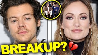 Harry Styles amp Olivia Wildes’ Relationship is “On Edge”  Hollywire [upl. by Aimekahs38]