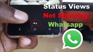 Status Views Not Showing Whatsapp Fix [upl. by Dorotea]