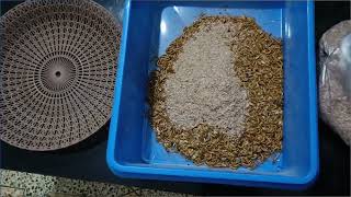 Smartest way to separate frass pupae and larvae Breed  Mealworms [upl. by Lamraj]