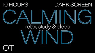 CALMING WIND Sounds for Sleeping Relaxing Studying BLACK SCREEN Real Storm Sounds SLEEP SOUNDS [upl. by Droffig487]