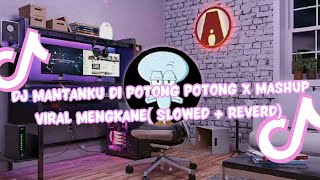 DJ Mantanku Di Potong Potong x Mashup Viral Mengkane  Slowed  Reverb [upl. by Redmer]