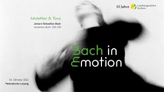 Bach in Emotion  Motetten und Tanz  Kurzfilm [upl. by Sofko]