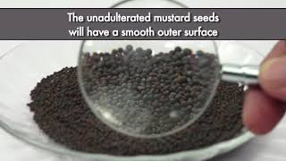 Testing Mustard Seeds adulteration with Argemone Seeds  FSSAI [upl. by Landre141]