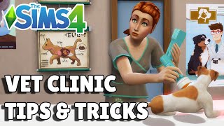 8 Vet Clinic Tips And Tricks For Success  The Sims 4 Cats amp Dogs Guide [upl. by Acinor]