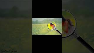 Magnifying Glass Effect with pixellab 🥰 [upl. by Naenaj]