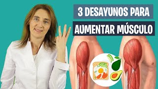 3 DESAYUNOS saludables para AUMENTAR MASA MUSCULAR  Desayuno y masa muscular  Nutrición deportiva [upl. by Mani]