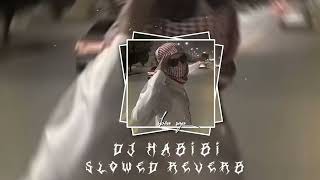 DJ HABIBI VIRAL TIK TOK Slowed reverb [upl. by Yvon558]