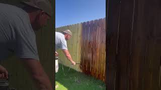 Spraying fence stain with a pump sprayer fenceconstruction fencebuilding fencestaining [upl. by Dearr]