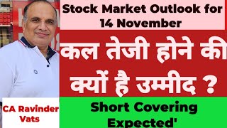 Stock Market Crash  Positive Outlook for Tomorrow14 November 24 by CA Ravinder Vats [upl. by Armillda]