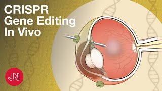 Gene Editing Inside the Body Using CRISPR [upl. by Notnirt]