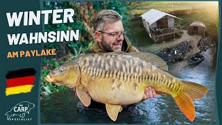 Wintergekte op de Etang de Vaise  droomkarper in december met Jeroen 🇫🇷🐋 [upl. by Kenleigh]