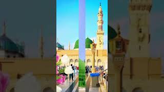 ho karam Sarkar ab to zindagii ke beshumar New Naat 2024ytshorts shortfeed trending newnaat [upl. by Aihseuqram878]