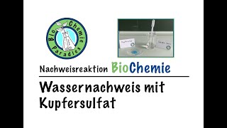 Nachweisreaktion BioChemie – Wassernachweis mit Kupfersulfat [upl. by Koch392]