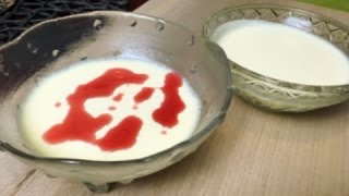 PANNA COTTA  nowy przepis  Gotuj ze Strażakiem [upl. by Anaeerb]