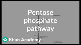 Pentose phosphate pathway  Cyclic structures and anomers  Biomolecules  MCAT  Khan Academy [upl. by Bernard]