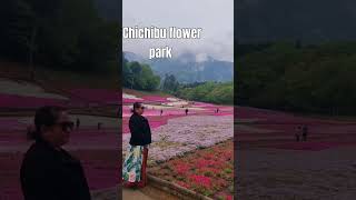 chichibu flower park Japan music cover travel japanvibes anime flowers [upl. by Ratep387]