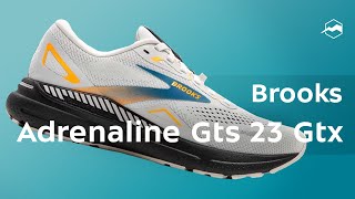 Brooks Adrenaline Gts 23 Gtx [upl. by Musihc]