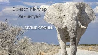 Аудиокнига  Эрнест Миллер Хемингуэй quotБелые слоныquot [upl. by Nosyt803]