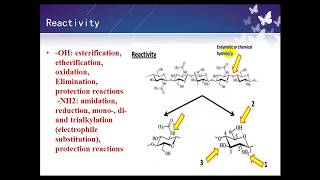 Bio polymers  chitin and chitosan [upl. by Hole772]