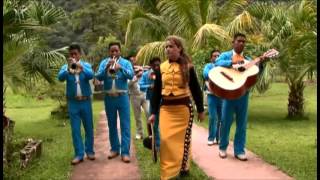 A CRISTO LE VOY 2014 VIDEO OFICIAL BRENDA SOLIS [upl. by Jock]