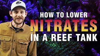 How to Lower Nitrates in a Saltwater Aquarium Proven Techniques For Success [upl. by Weikert]