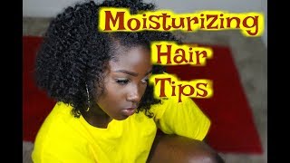 HOW TO Keep Natural Hair Moisturized My moisturizing natural Hair Technique [upl. by Meyers]