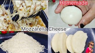 How to make Mozzarella Cheese at home  Easy Pizza Cheese Mozzarella Cheese Recipes 2024 [upl. by Ossie]