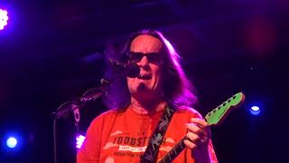 Todd Rundgren  I Saw The Light Live Bossa Nova [upl. by Vahe]