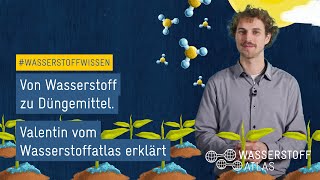 Von Wasserstoff zu Düngemittel – Valentin vom Wasserstoffatlas erklärt  Wasserstoffwissen [upl. by Yerdna]