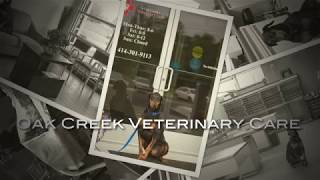 Oak Creek Veterinary Care [upl. by Joyann]