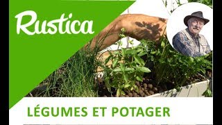 Cultiver une jardinière de plantes condimentaires [upl. by Taub]