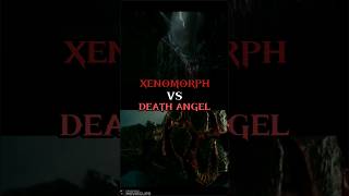 Xenomorph VS Death Angel Alien VS A Quiet Place [upl. by Eiggep]