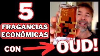 ¡5 FRAGANCIAS ECONÓMICAS con OUD que huelen a PERFUMES CAROS 💥 [upl. by Ziana859]